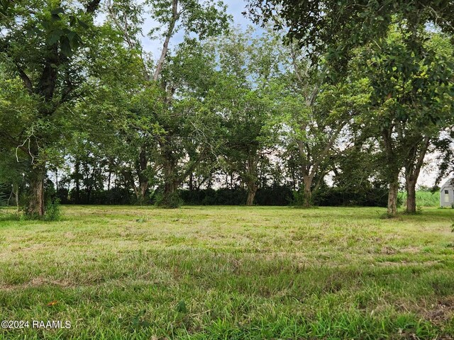 10820 Sidney Gautreaux Rd, Abbeville, LA 70510 - photo 5