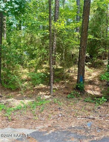 110 Seneca Ct, Pineville LA, 71360 land for sale