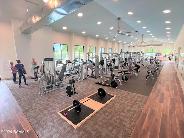 workout area featuring ceiling fan, lofted ceiling, and hardwood / wood-style floors