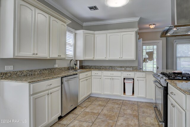 kitchen with appliances with stainless steel finishes, range hood, sink, light stone counters, and crown molding