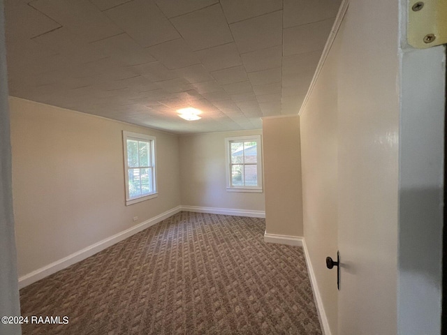 unfurnished room featuring crown molding and carpet