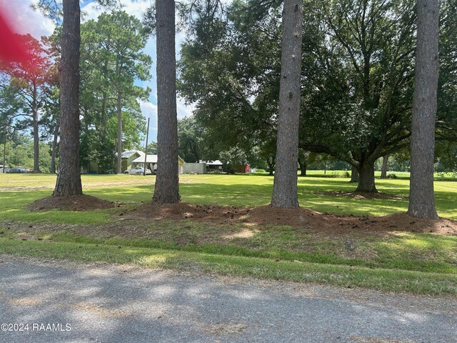 0 Wilkins Street Blk 10, Arnaudville, LA 70512