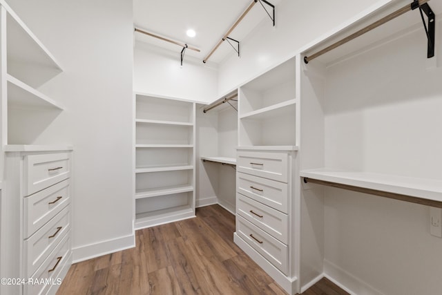 spacious closet featuring dark wood-type flooring