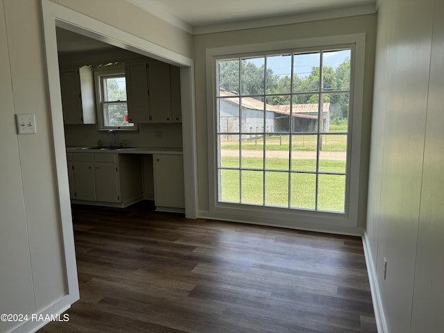 unfurnished dining area with a sink, baseboards, dark wood-type flooring, and a wealth of natural light