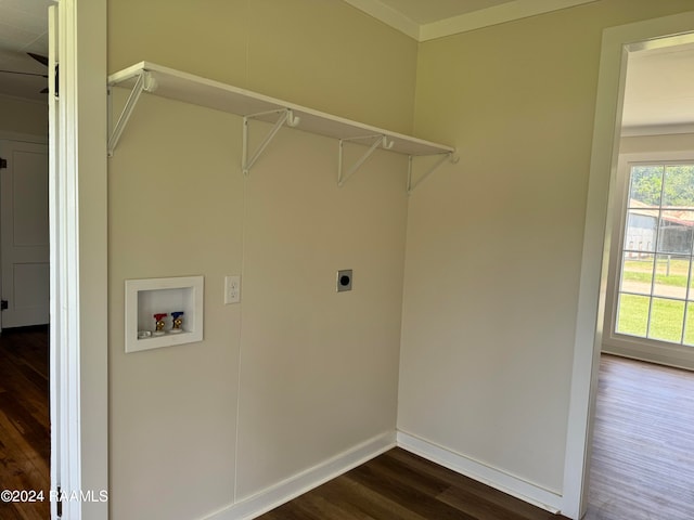 laundry room with electric dryer hookup, dark hardwood / wood-style flooring, and washer hookup