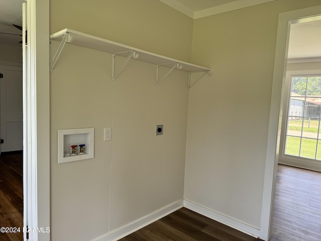 laundry room featuring hookup for a washing machine, laundry area, dark wood-type flooring, baseboards, and electric dryer hookup