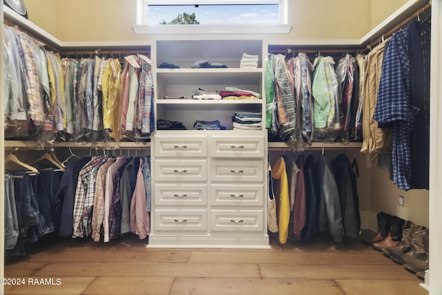 walk in closet featuring light wood-type flooring