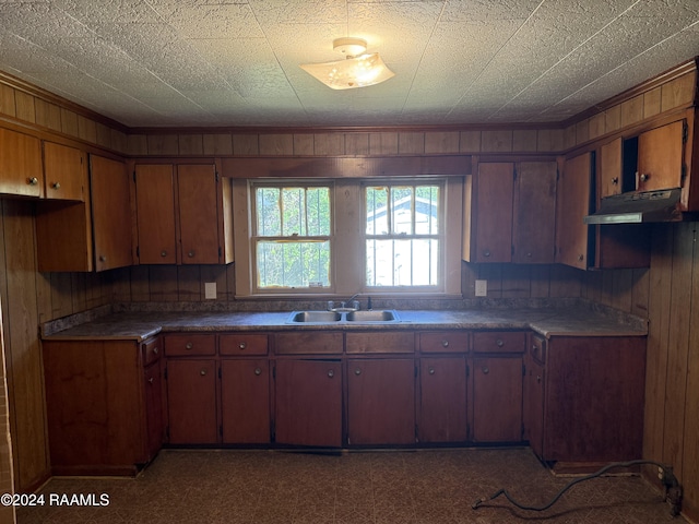 kitchen featuring dark colored carpet, sink, and wooden walls