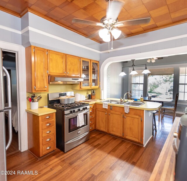 kitchen featuring ceiling fan, light hardwood / wood-style flooring, appliances with stainless steel finishes, sink, and kitchen peninsula