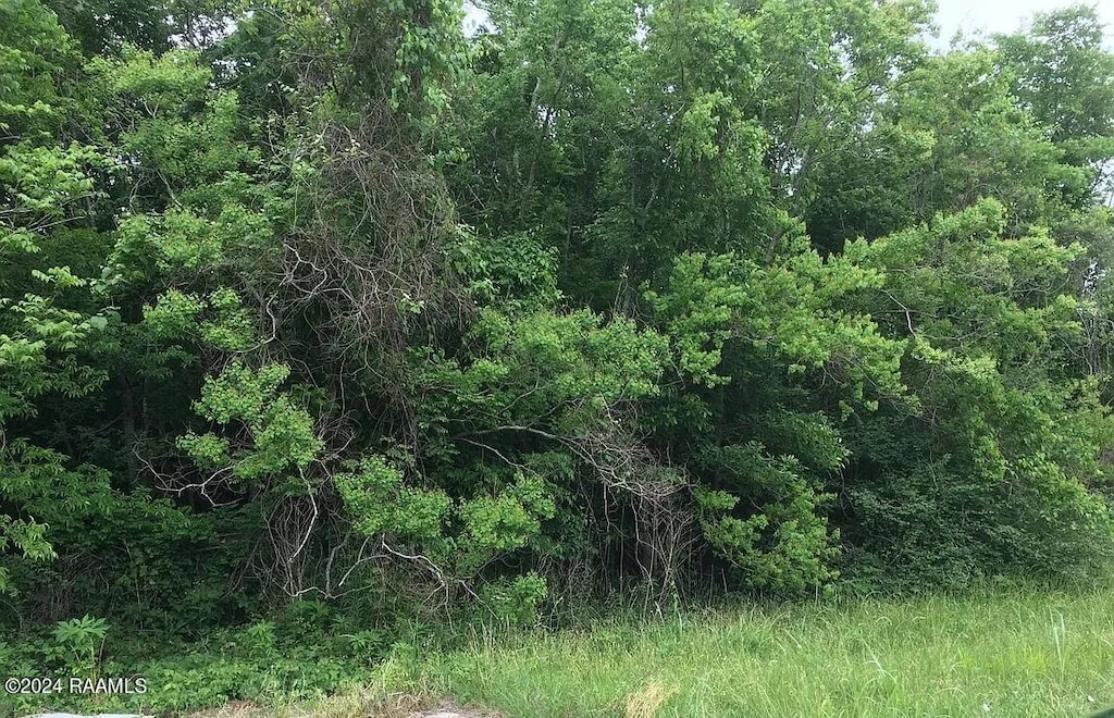 110 Regis St # C, Lafayette, LA 70501