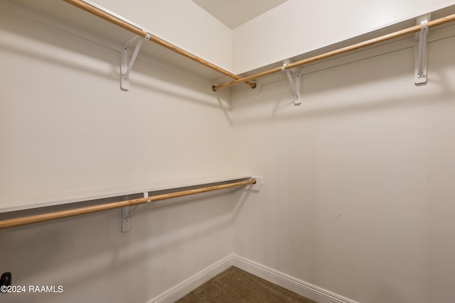 walk in closet featuring carpet floors