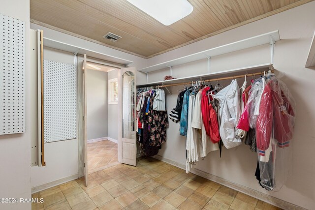 view of spacious closet