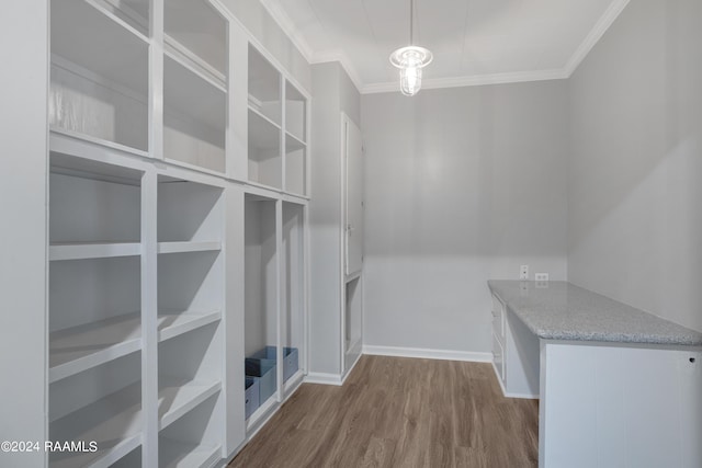 spacious closet with wood finished floors