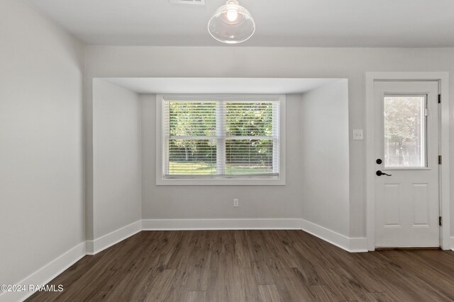 entryway featuring dark hardwood / wood-style floors and a healthy amount of sunlight