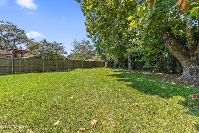 view of yard with a fenced backyard