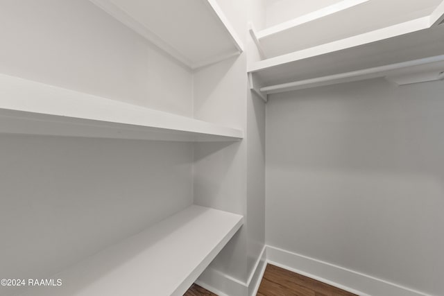 spacious closet featuring dark wood-type flooring