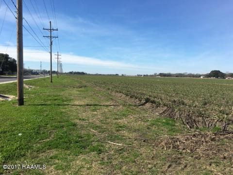 000 Monnot Rd, Jeanerette, LA 70544 - photo 5