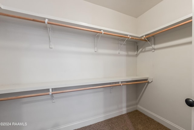 walk in closet featuring carpet