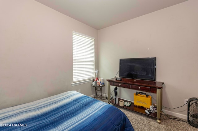 carpeted bedroom with multiple windows