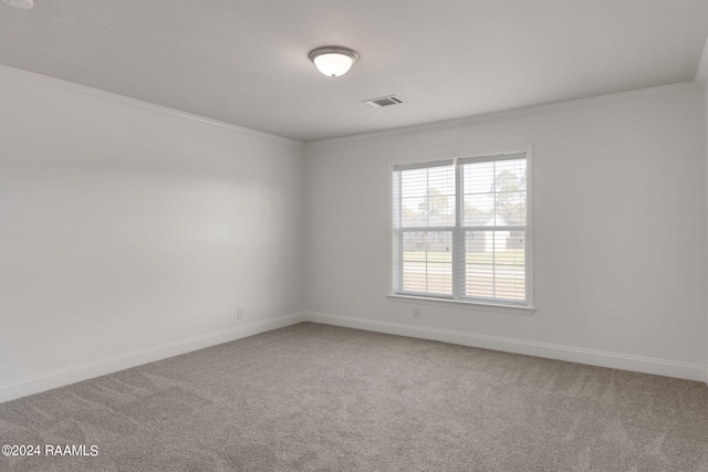 spare room featuring crown molding and carpet