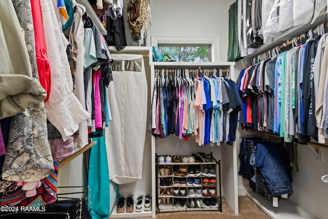 spacious closet featuring carpet