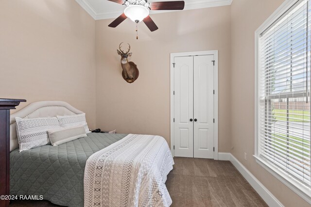 carpeted bedroom with ceiling fan, crown molding, and a closet