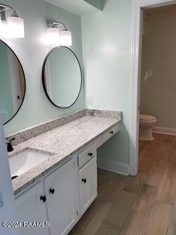 bathroom with toilet and vanity