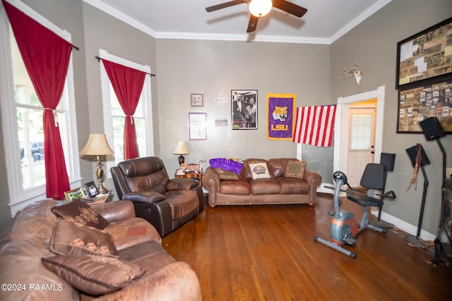 living room featuring ceiling fan, crown molding, and wood-type flooring