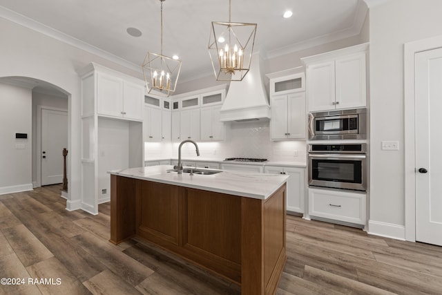 kitchen with appliances with stainless steel finishes, premium range hood, decorative backsplash, dark hardwood / wood-style floors, and sink