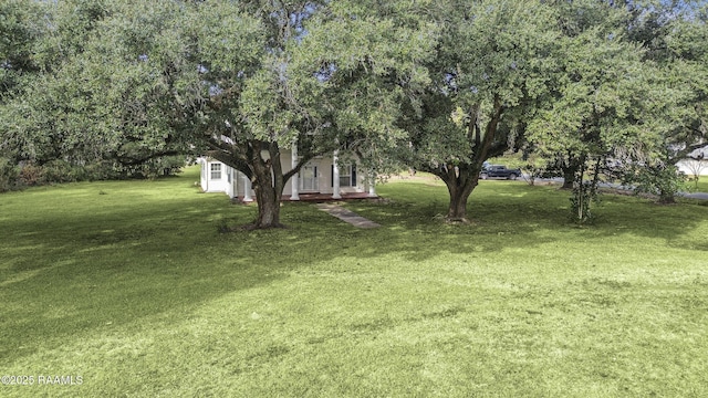 115 Sherwood Ln, Crowley, LA 70526 - photo 15