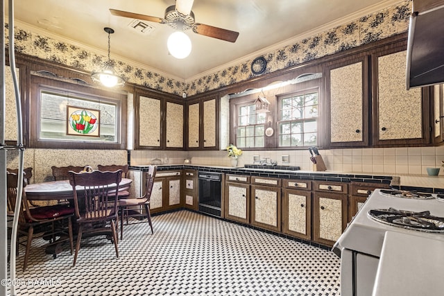 kitchen with dishwasher, ceiling fan, backsplash, dark brown cabinetry, and ornamental molding