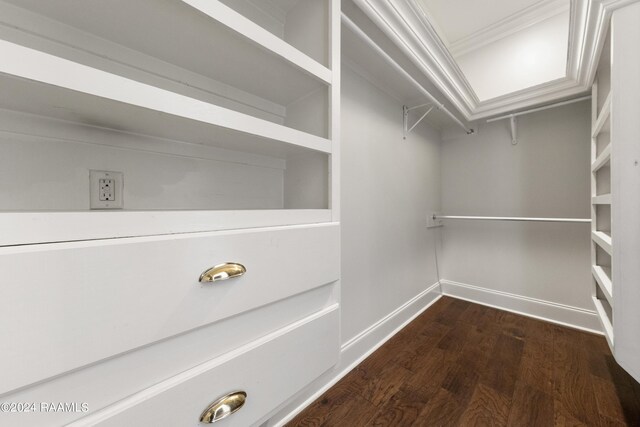 walk in closet featuring wood-type flooring