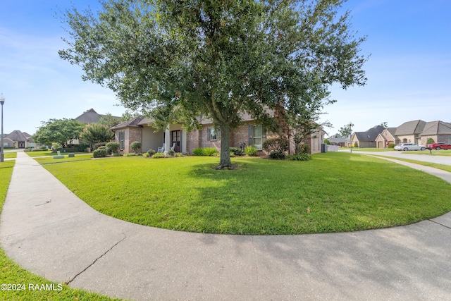 view of front facade with a front yard