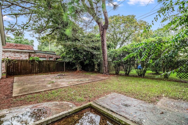 view of yard featuring a patio area