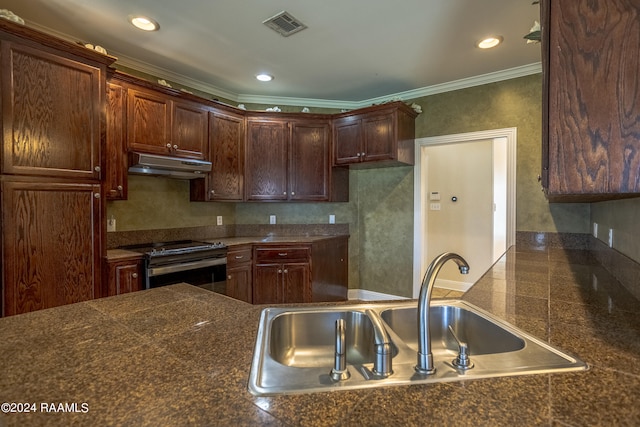 kitchen with ornamental molding, sink, and stainless steel electric range oven