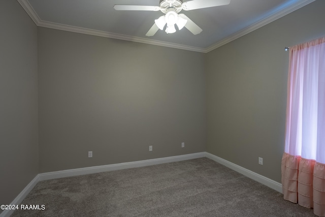 unfurnished room with crown molding, ceiling fan, and carpet flooring