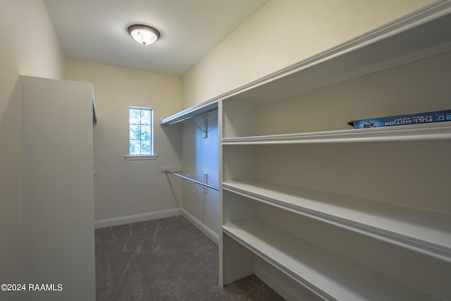 spacious closet with dark colored carpet