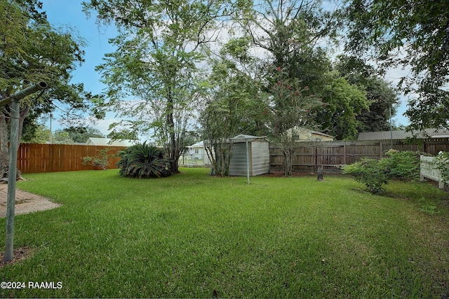 view of yard featuring a storage unit