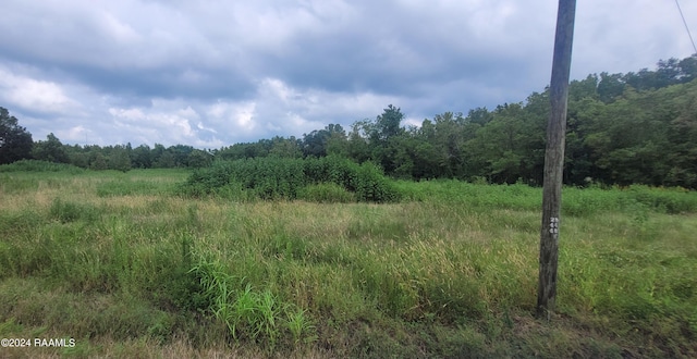 1071 Hollow Oaks Rd, Breaux Bridge, LA 70517