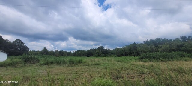 1071 Hollow Oaks Rd, Breaux Bridge, LA 70517