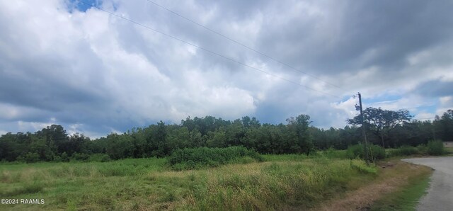 1071 Hollow Oaks Rd, Breaux Bridge, LA 70517