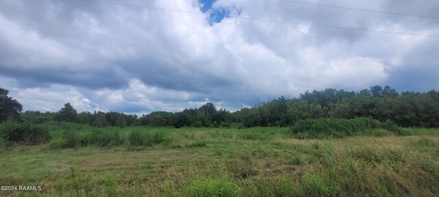 1071 Hollow Oaks Rd, Breaux Bridge, LA 70517