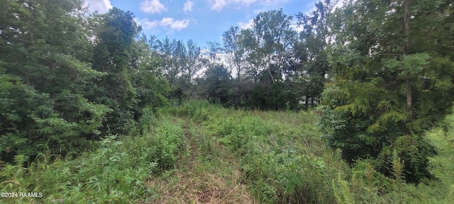 1459 Sawmill Hwy, Breaux Bridge, LA 70517 - photo 2
