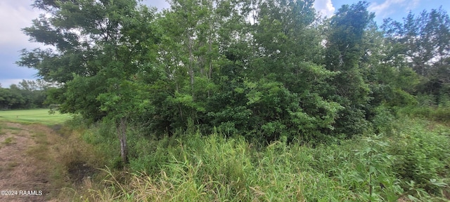 1459 Sawmill Hwy, Breaux Bridge, LA 70517 - photo 4