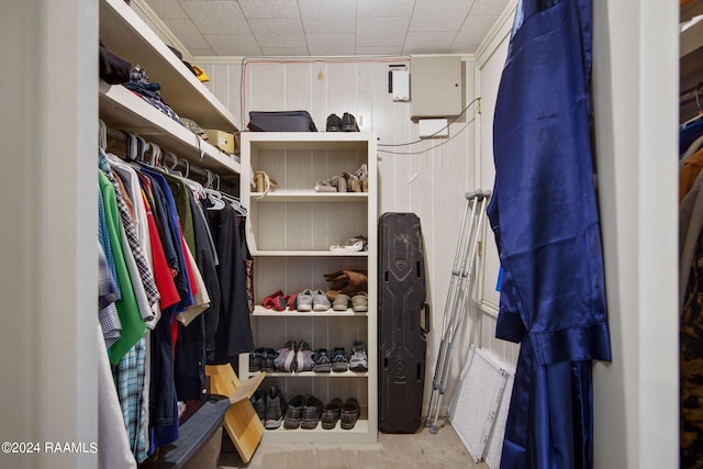 spacious closet featuring light carpet