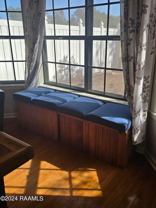 miscellaneous room featuring wood-type flooring and plenty of natural light