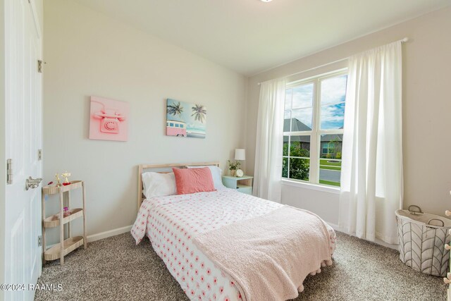 carpeted bedroom with multiple windows