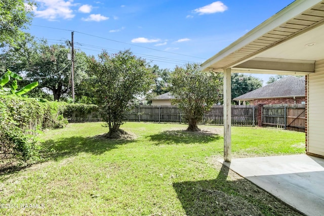 view of yard featuring a patio