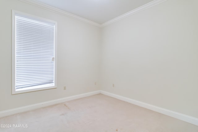 unfurnished room with carpet floors and ornamental molding