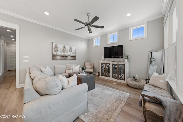 living room with ornamental molding, ceiling fan, and light wood-type flooring